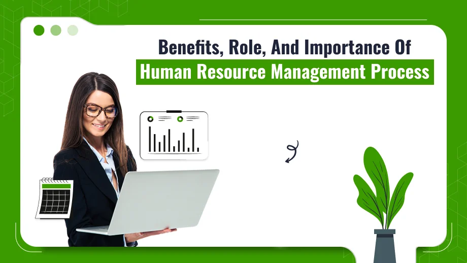 Human Resource Management Process: Comprehensive Guide