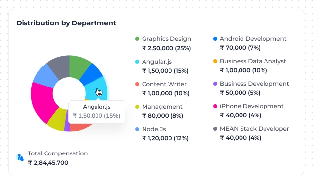 Visual payroll analytics 