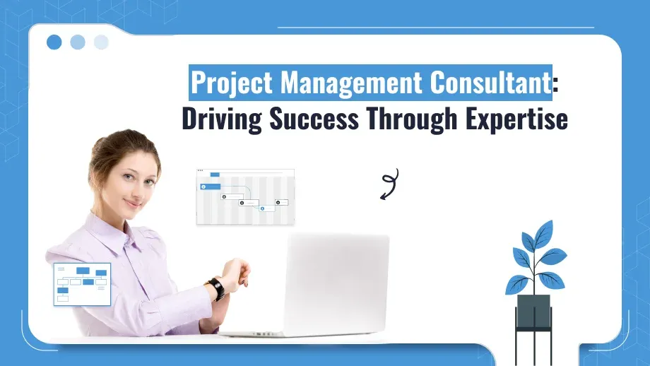 Project Management Consultant