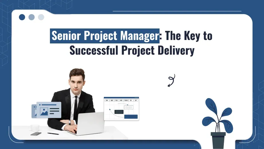 Senior Project Manager