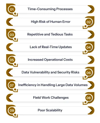 Challenges of Manual Data Entry Processes